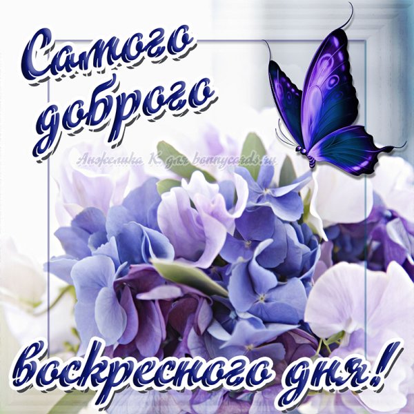 С добрым воскресным утром