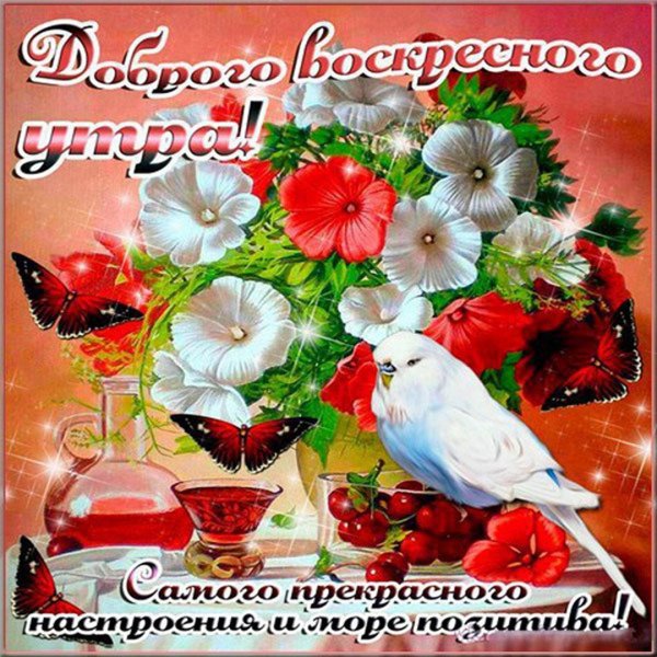 Открытки с добрым утром воскресенья
