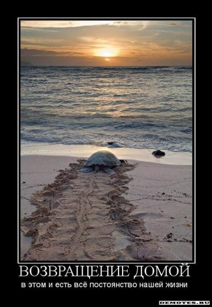 Возвращение домой