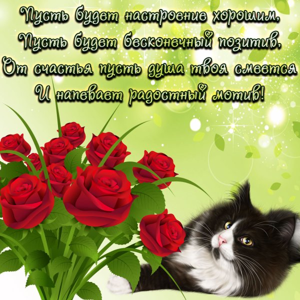 Хорошие пожелания