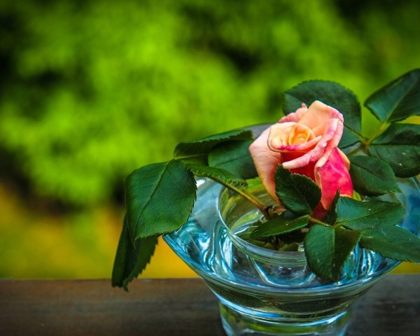 Прекрасного настроения