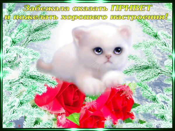 Открытки подруге с хорошим настроением