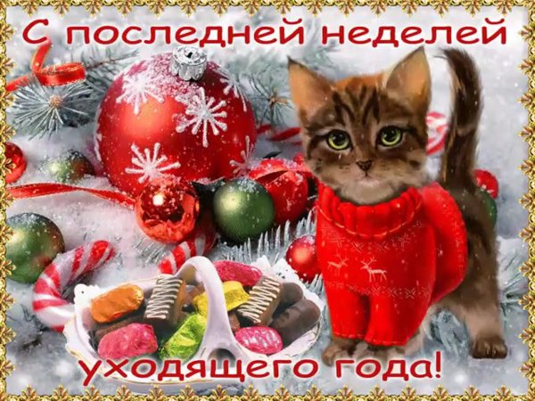 Счастья в новом году поздравления