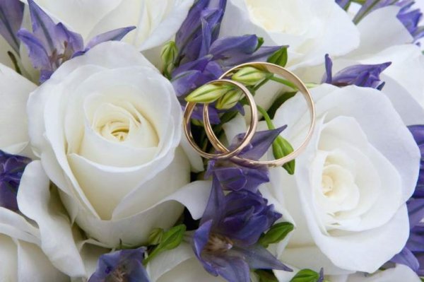 Стгодлвощинлй свадьбы