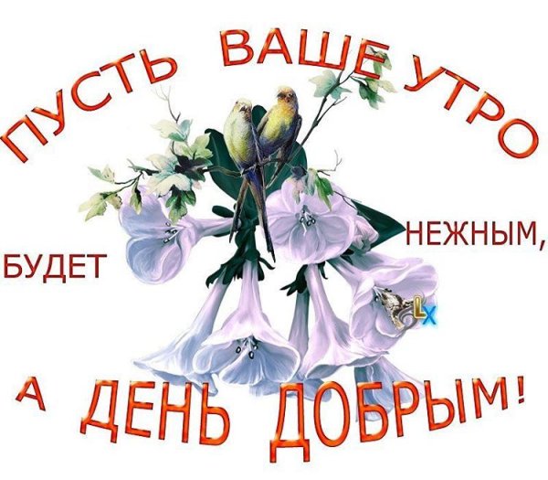 Спасибо и вам доброго утра