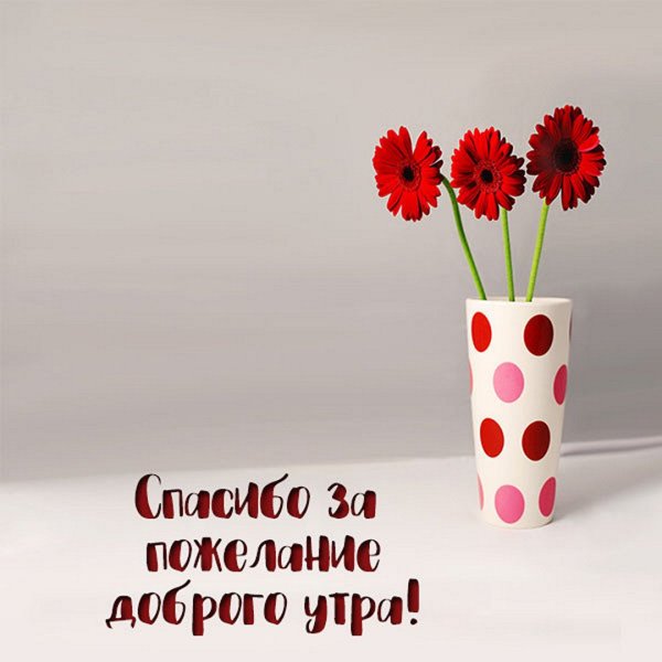 Открытка благодарности и добрым утром