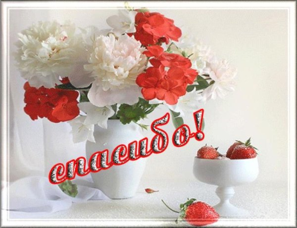 Пожелания спасибо