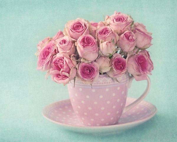 Букет в чашке с днем рождения