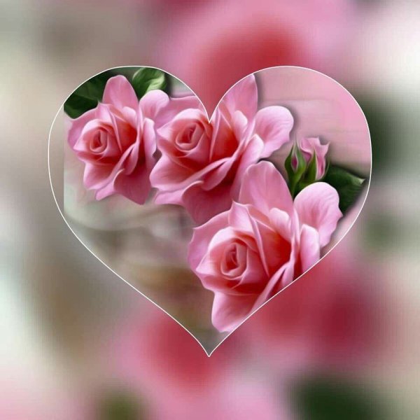 Цветы прекрасному человеку