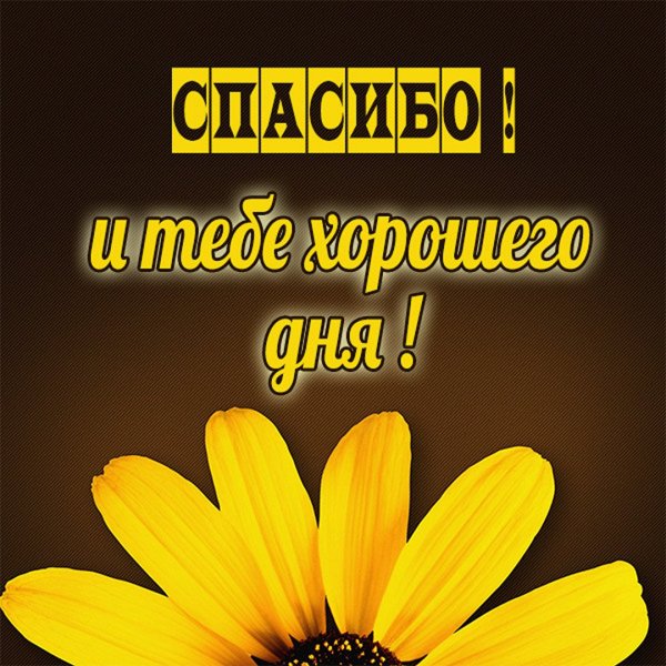 Спасибо и тебе хорошего дня