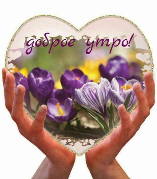 Доброе утро спасибо