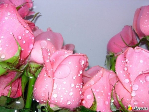 Открытки спасибо хорошего дня