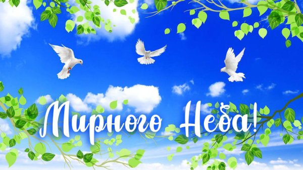 Пожелания мирного неба