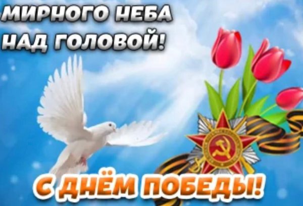 Открытка мирного неба