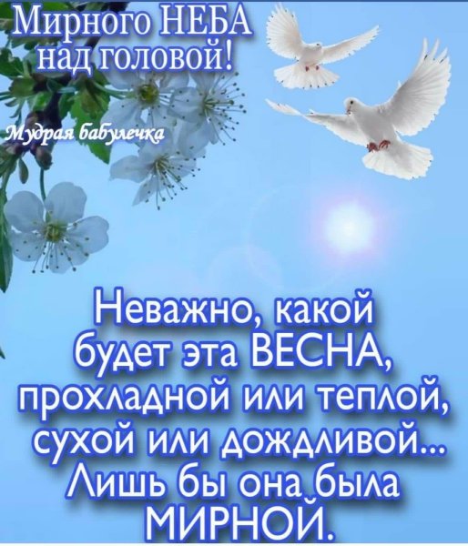 Мирного неба над головой