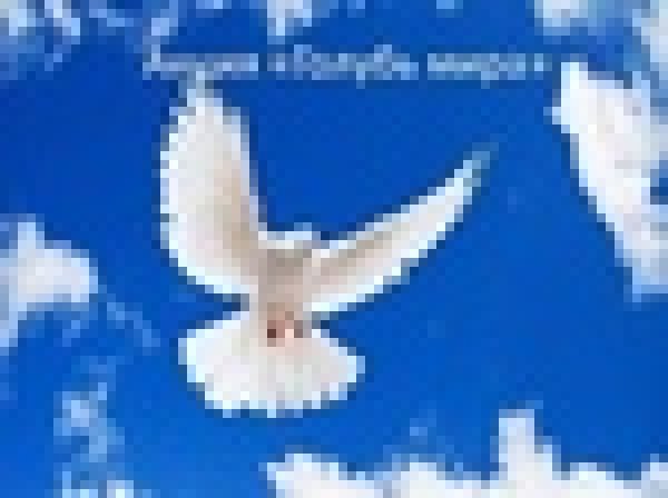 Спасибо за мирное небо над головой