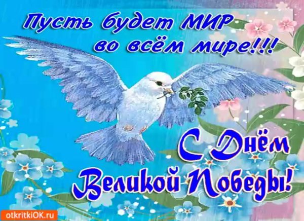 Желаю мирного неба над головой