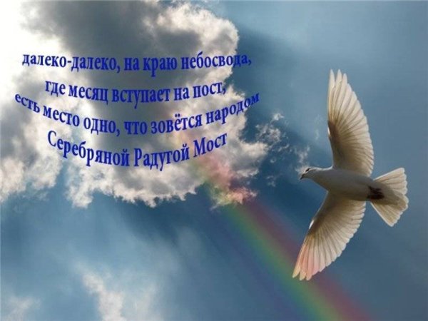 Поздравление с 9 мая с днем Победы