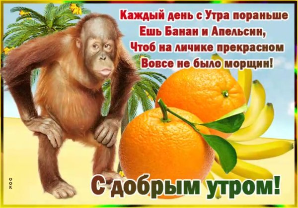 Пожелания доброго утра прикольные с юмором
