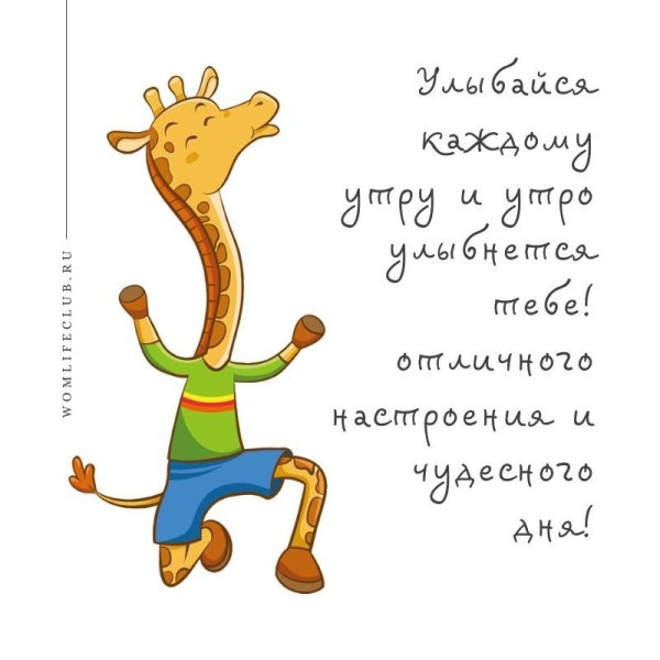 Смешные пожелания доброго утра