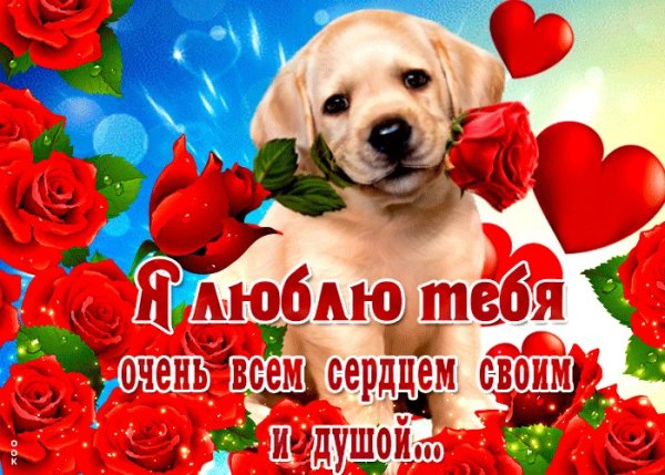 Люблю тебя очень сильно