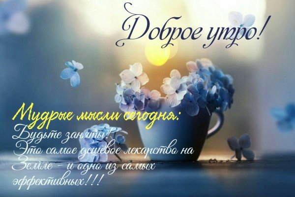 Мудрые пожелания с добрым утром
