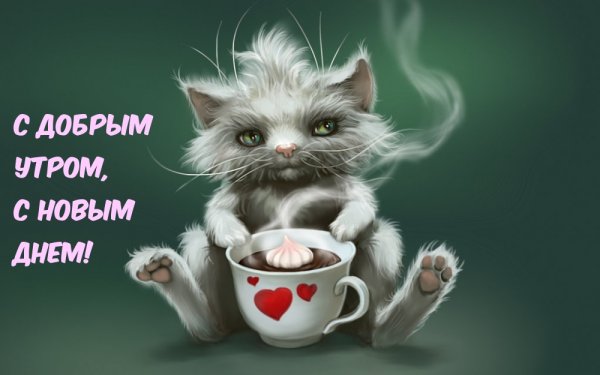 С добрым утром котики