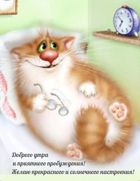 С добрым утром кот