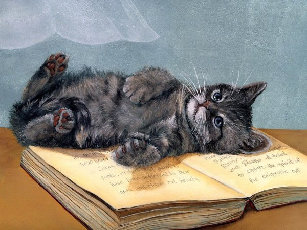 Котёнок с книжкой