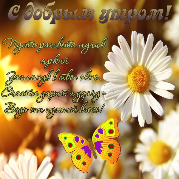 С добрым утром вторника