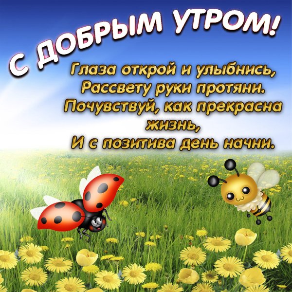 Доброе утро четверга