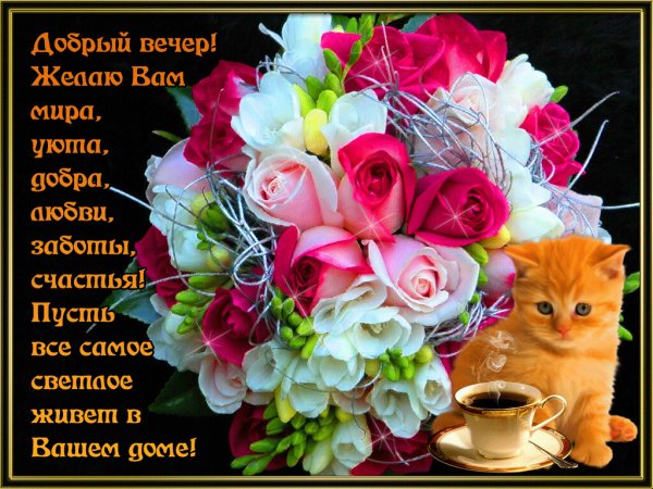 Пожелания доброго вечера женщине