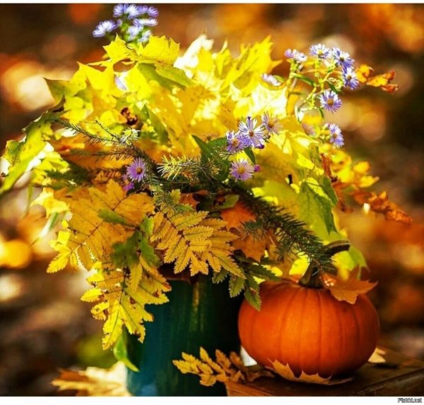 Доброе утро осенний букет