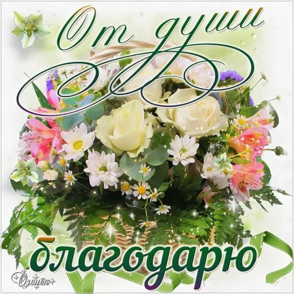 Открытки со словами благодарности