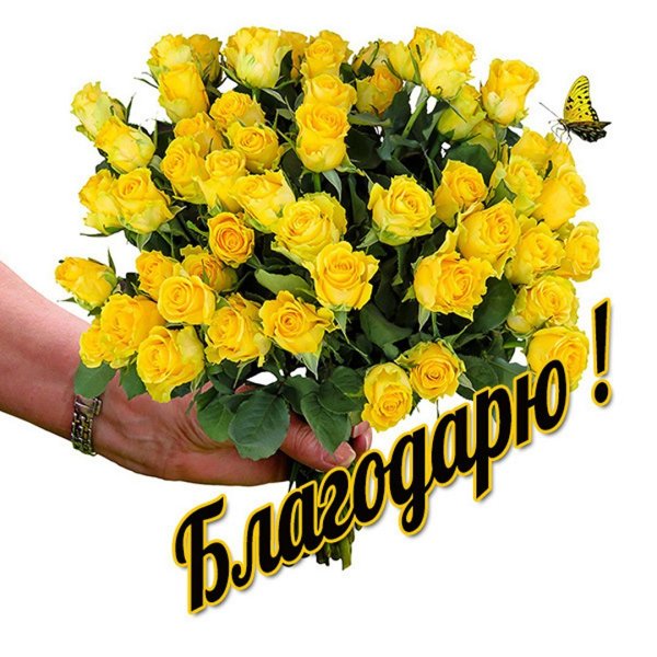 Благодарность за поздравления