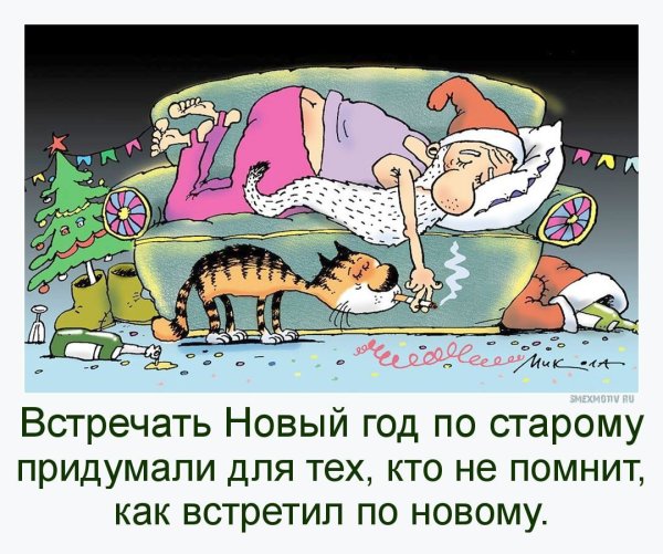 Новогодние праздники юмор