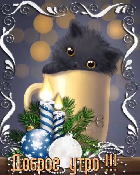 Открытки с добрым утром зимние с котиками