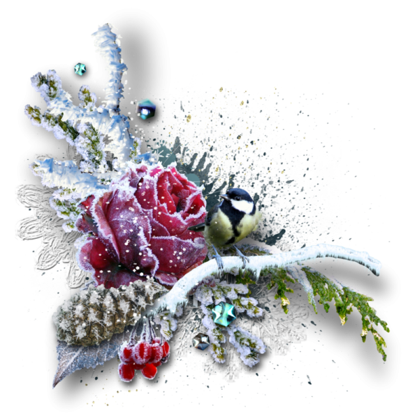 Цветы зимой