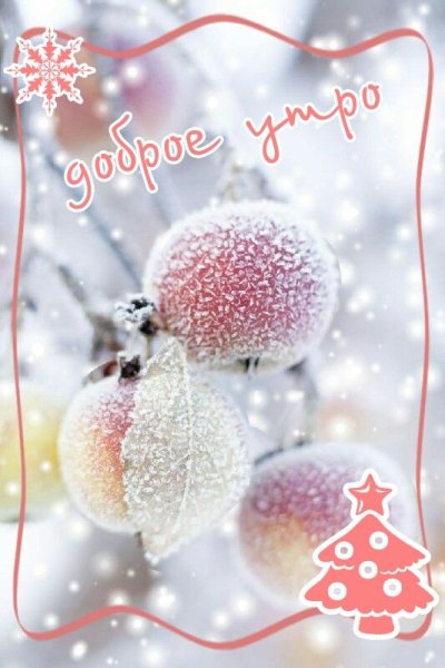 Нежные зимние пожелания