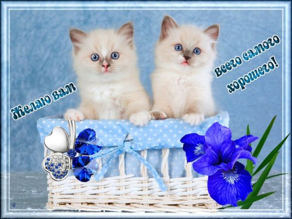 Открытки всего самого доброго