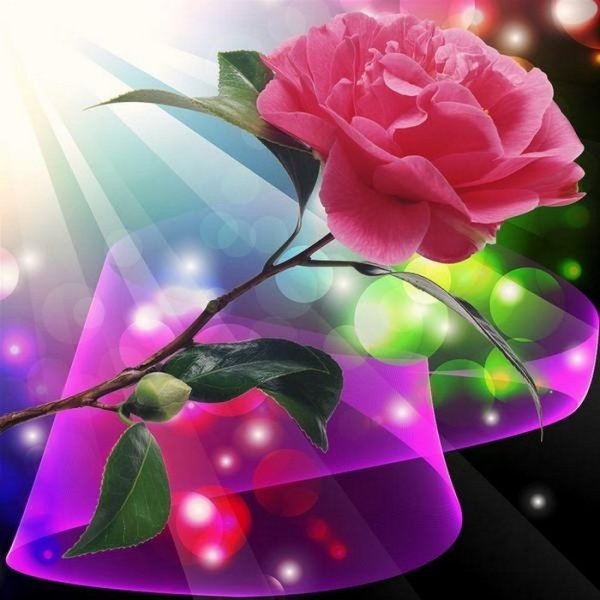 Самые красивые пожелания