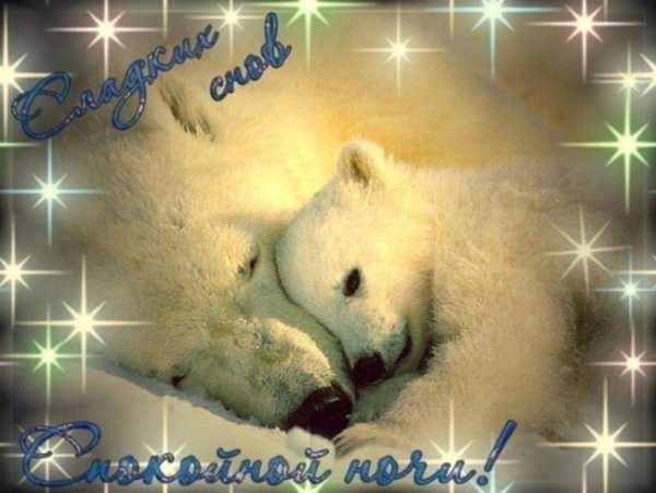 Спокойной ночи