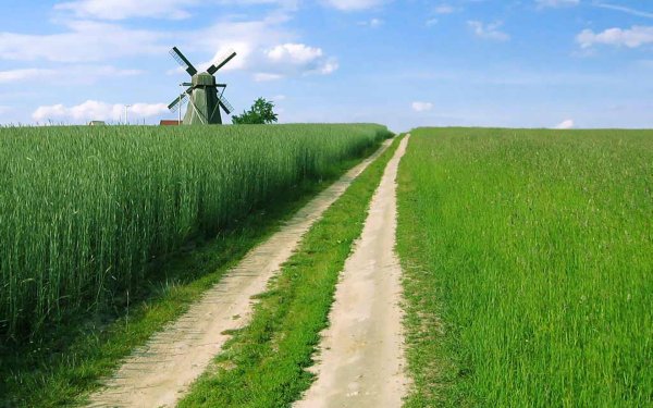 Счастливой дороги