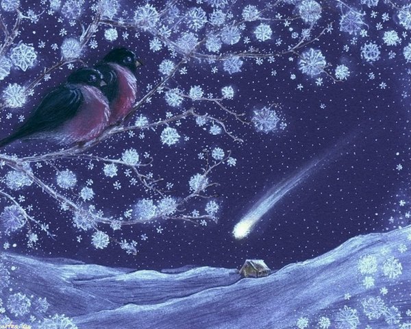 Спокойной зимней ночи