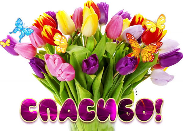 Цветочек спасибо