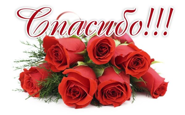 Спасибо розы