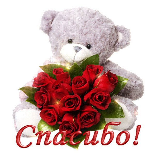 Спасибо цветы