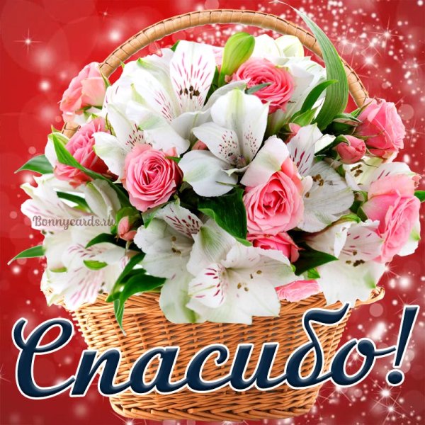 Спасибо цветы