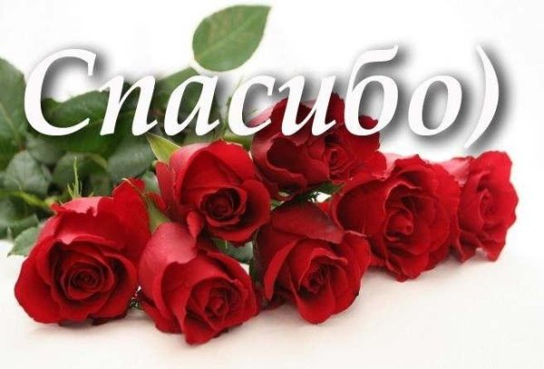 Благодарность цветы