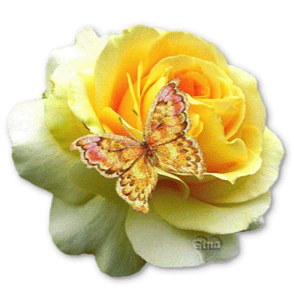 Открытки очень красиво